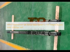 Empacotador recuperável C do grupo mecânico de HPHT/desvio integral de W com 12000psi WP